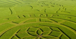 A 76 acre crop art that reads “Trust The Earth and Hemp for Natural Health.” 