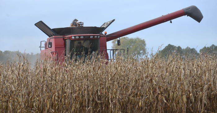 combine harvesting corn