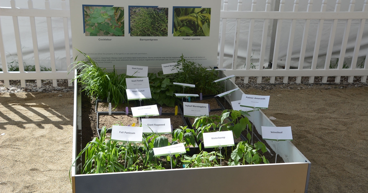 New herbicide, pesticide names come to market
