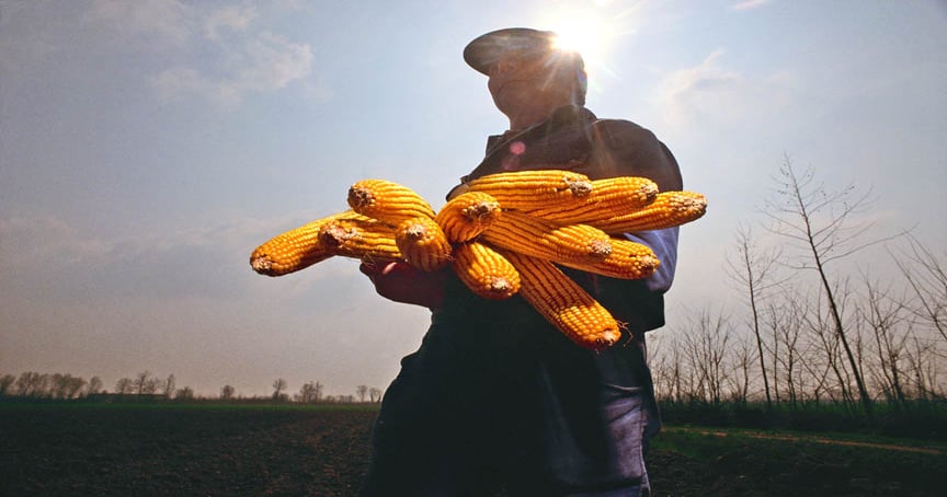 Food industry trying to soften drought impact on consumers | Farm Progress