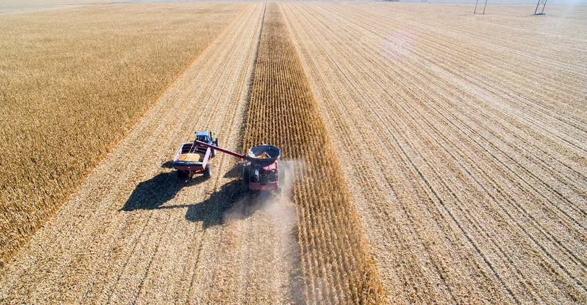 Aerial view of corn harvest