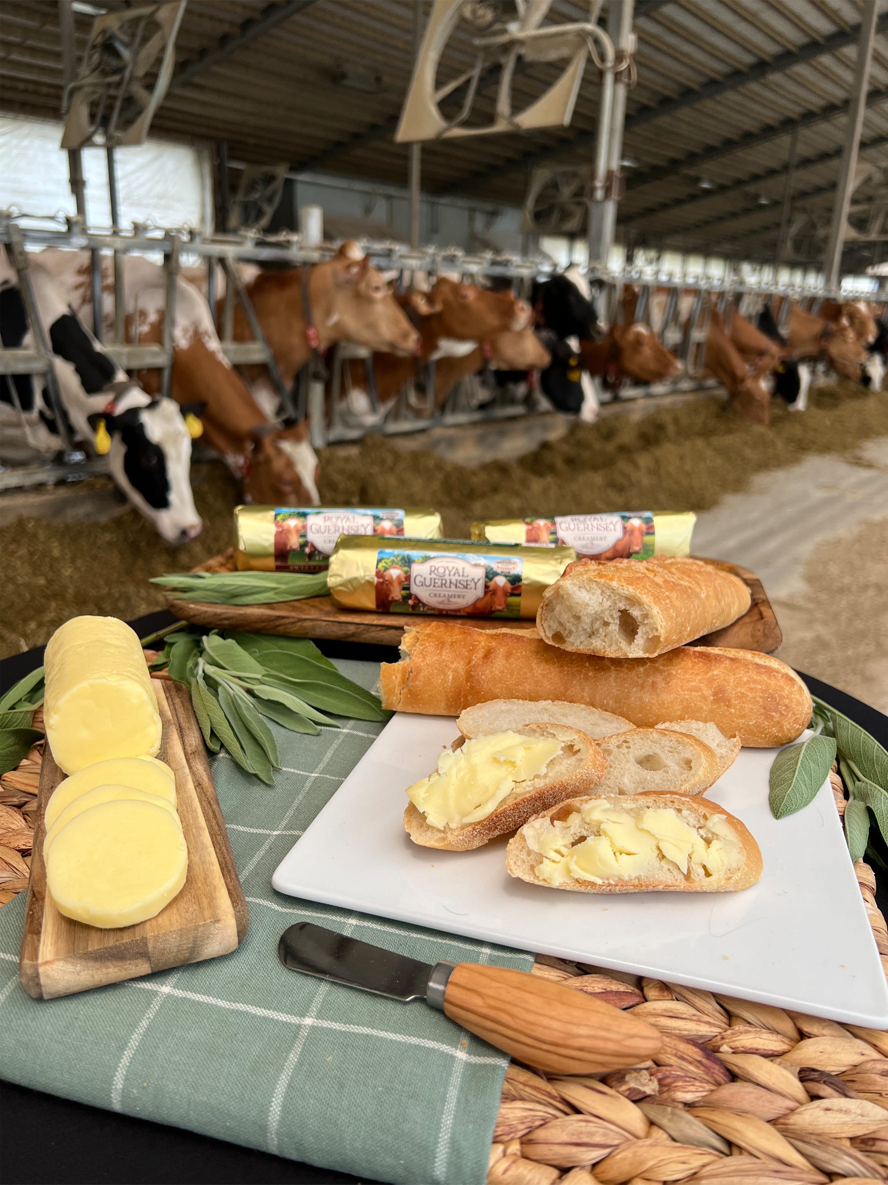 a display or Royal Guernsey Creamery butter and loaves of bread sit on a table with Holstein and Guernsey cows at a feedbunk in the background