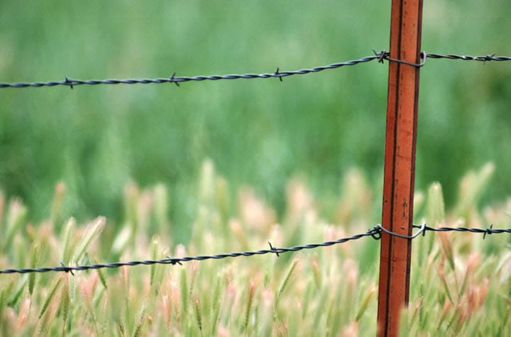 Brad Kelley owns 1 million acres of US land