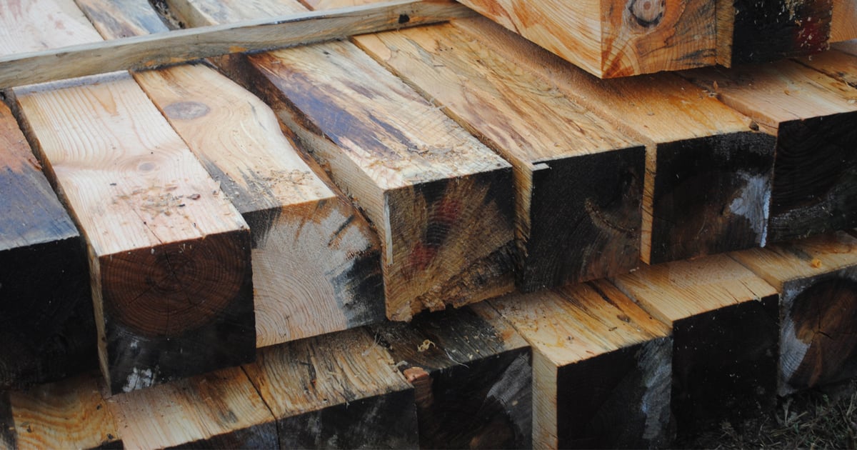 Use insect-infested lumber quickly