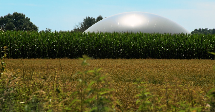 Corn field with Biogas plant in background