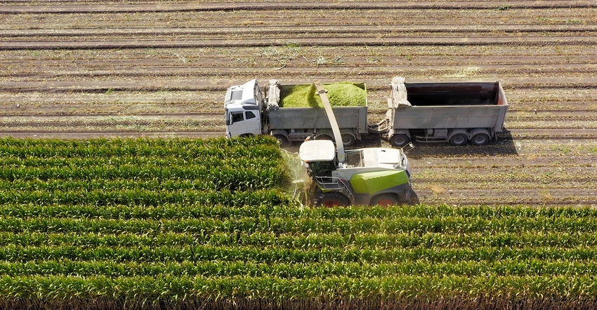 Combine harvesting and loading silage onto a double trailer truck