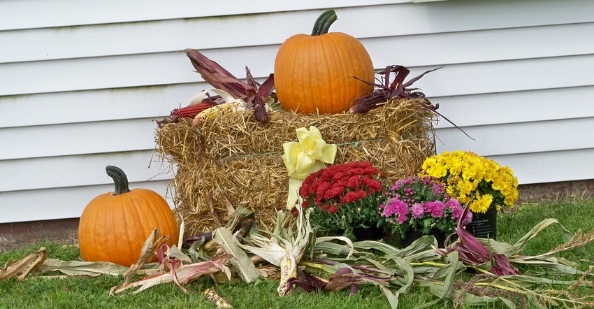 Hay bale surrounded by pumpkins, mums and cornstalks