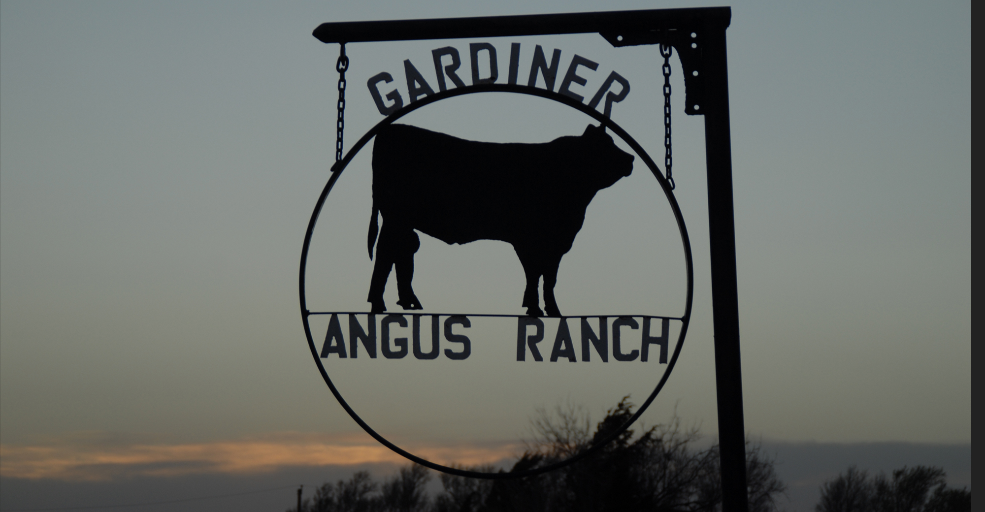 Gardiner Angus Ranch : Cutting Horse Clinic