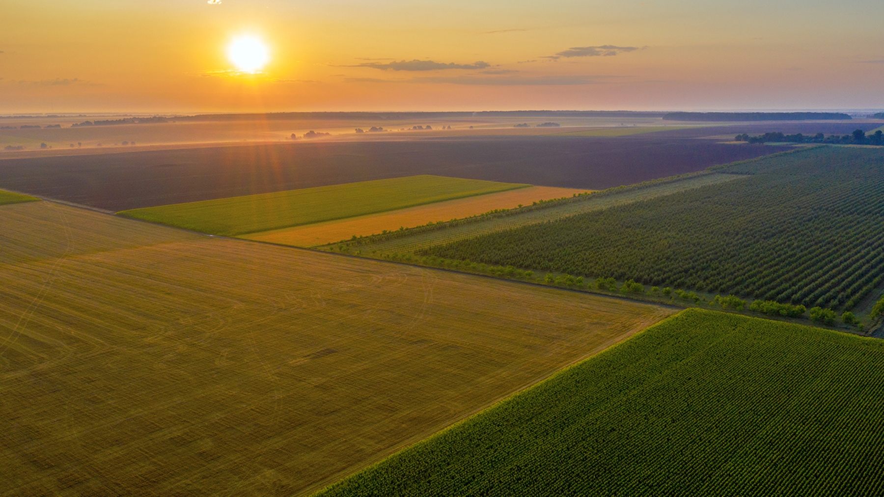 Who Should Own Our Farmland   Getty Aerial Drone View Of Cultivated Farmland 