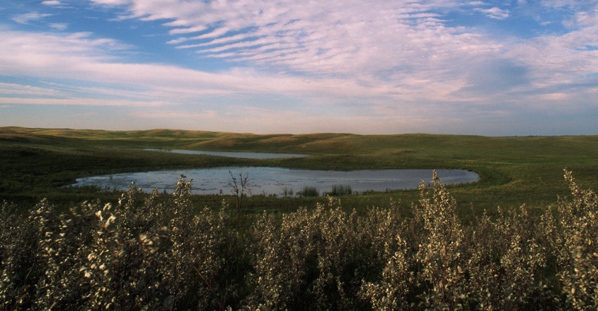 prairie with pond and hills
