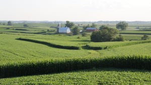  Cornfield and soybean field with farmhouses, barns and silos in background