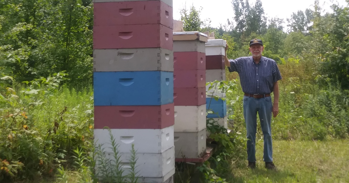 Beekeeping: From hobby to business Beekeeping: From hobby to business