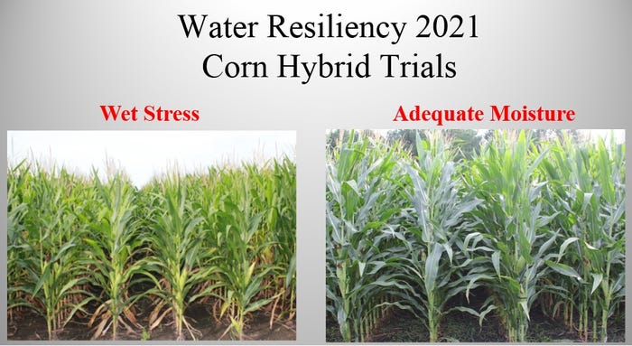 NCSU_Corn_Hybrids_Water_Stress.jpg