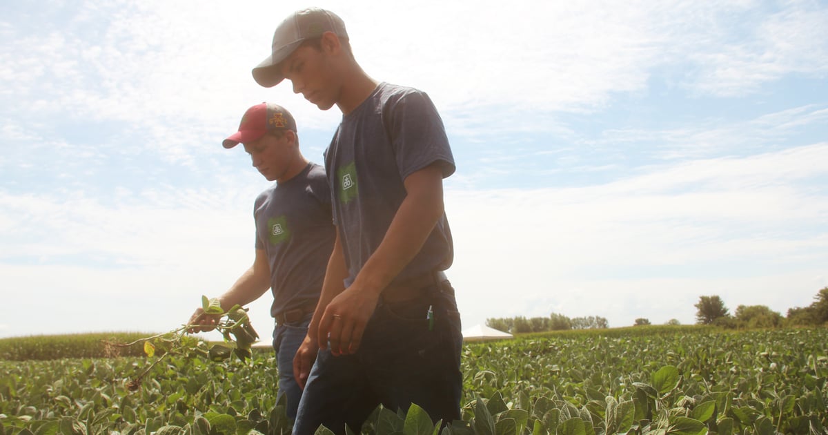 Youth crop scouting competition sharpens skills