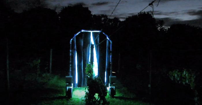 An autonomous robot fitted with UV lights is deployed in a vineyard at night