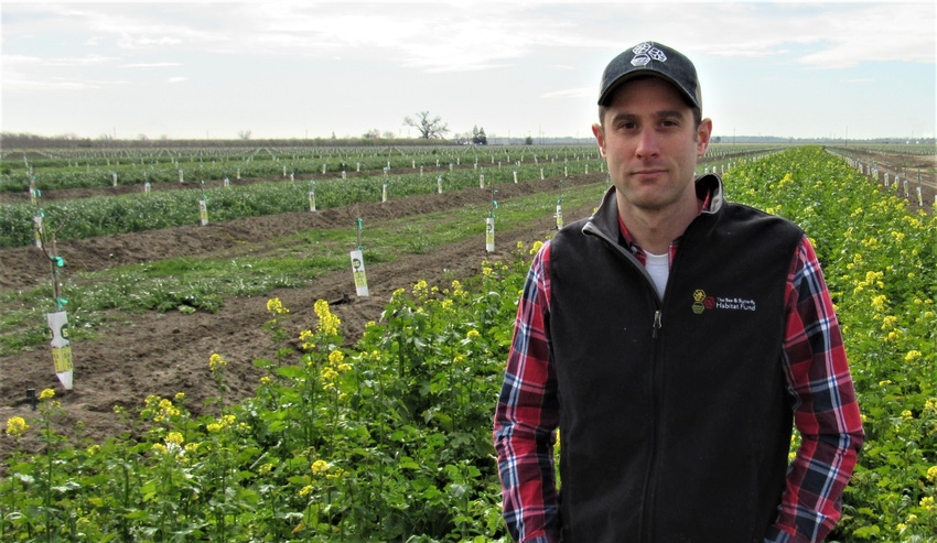 TNFP0321-TH-cover-crops.jpg TNFP0321-TH-cover-crops.jpg