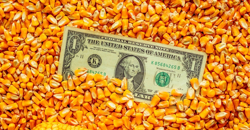 One dollar bill in corn kernels. One dollar bill in corn kernels.