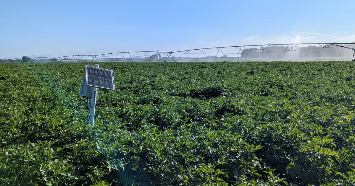 New app helps farmers adapt to erratic rainfall