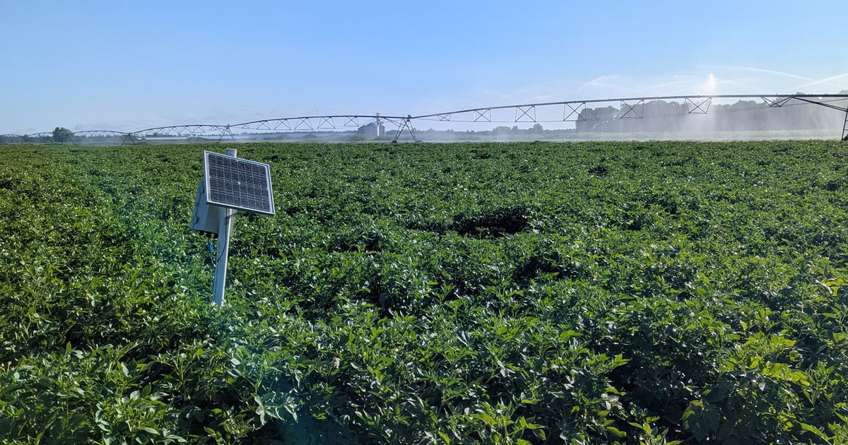 New app helps farmers adapt to erratic rainfall