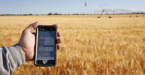 A close up of a hand holding a smartphone with a field of crops in the background