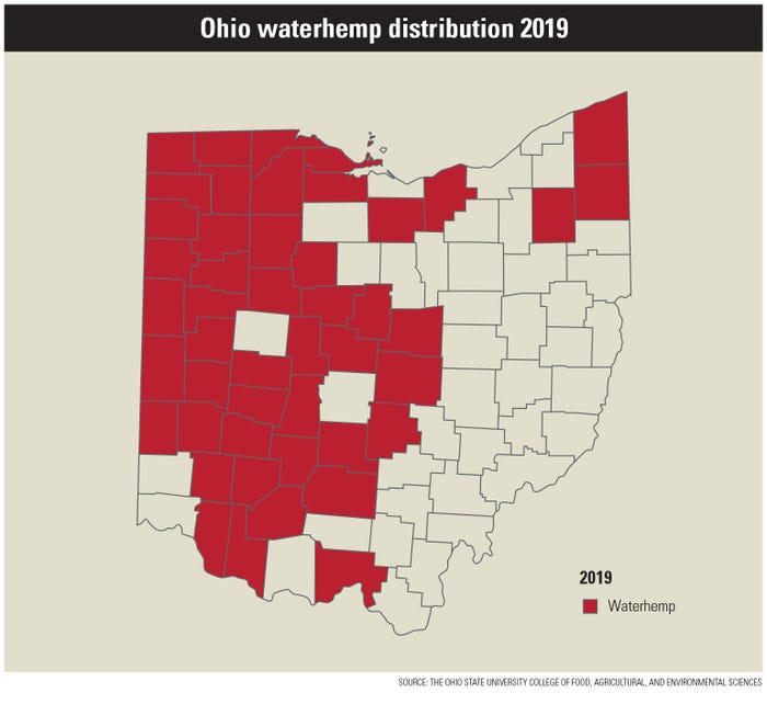 Map of Ohio waterhemp distribution in 2019