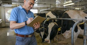 Victor Cabrera using a tablet standing next to dairy cows