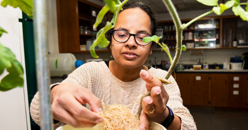 nematoderesearchbyfredmillercopy.jpg nematoderesearchbyfredmillercopy.jpg