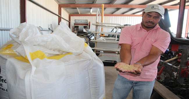 Week in Puerto Rico series: Major rice company uses Puerto Rico for ...