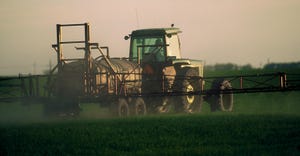 Tractor spraying herbicides on crops at dawn