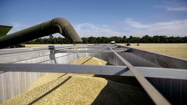 Ukraine grain exports to slump after Russian strikes on Odesa