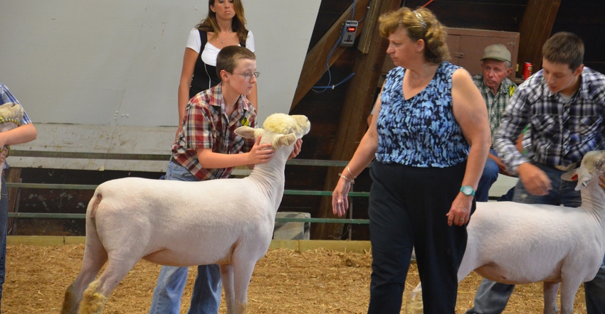 Putnam County 4-H livestock show