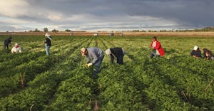 immigrant farm workers