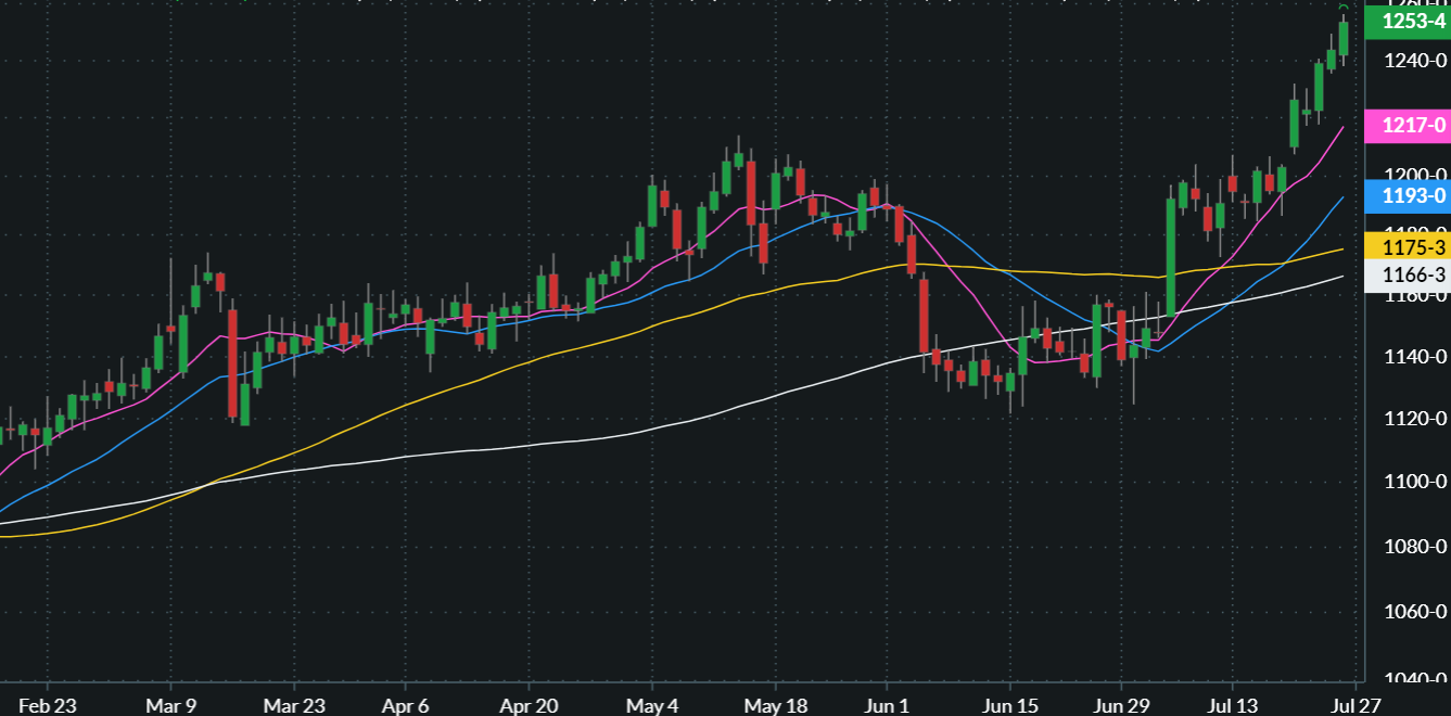 NOVEMBER SOYBEANS