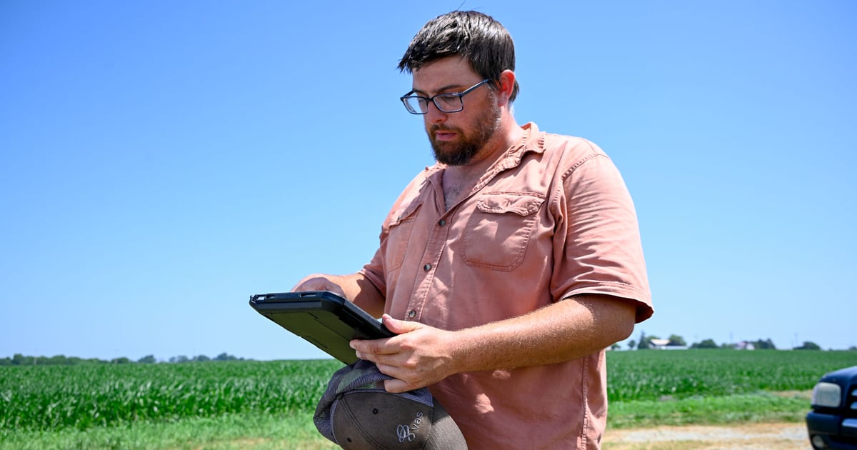 Why this dairy farmer spreads manure days before corn harvest