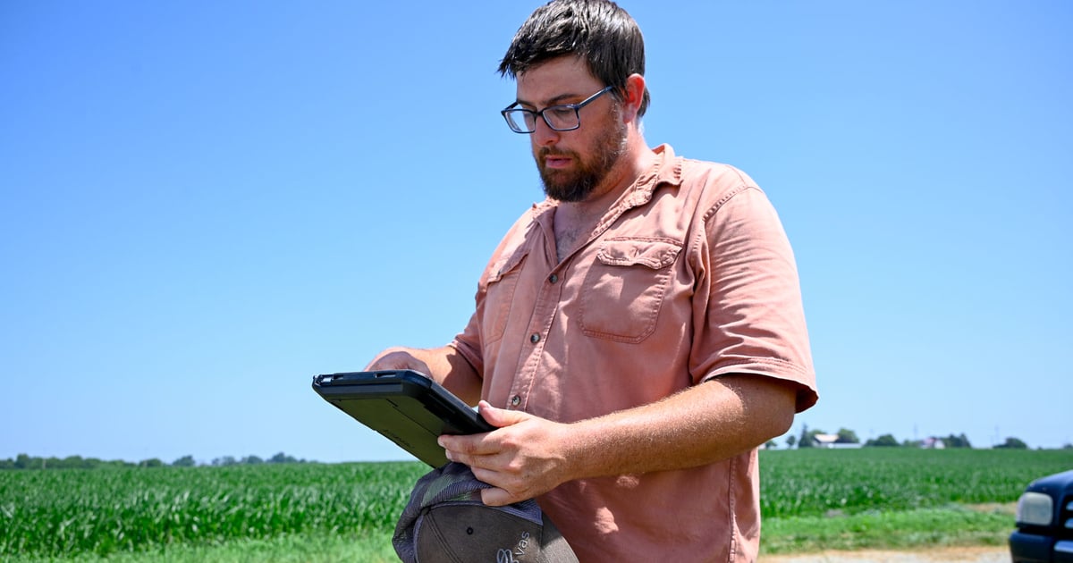 Why this dairy farmer spreads manure days before corn harvest