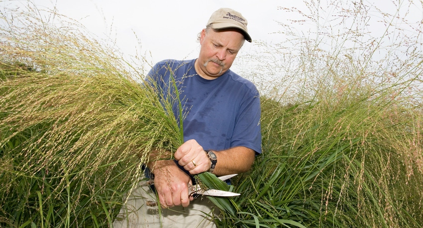 WFP-ARS-seed-harvest.jpg