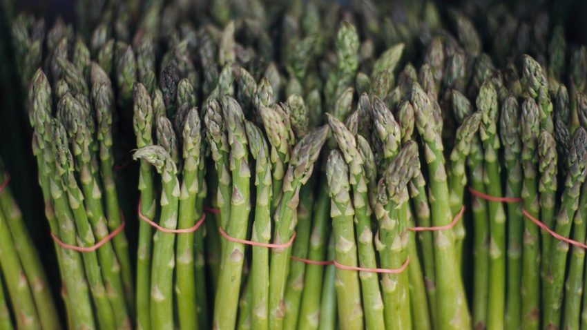 bundles of asparagus