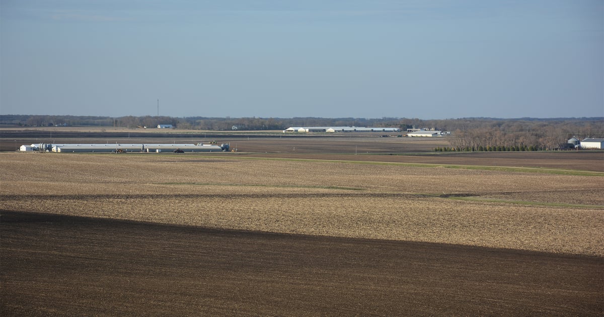 Outlooks vary across ag, but all producers must manage risk