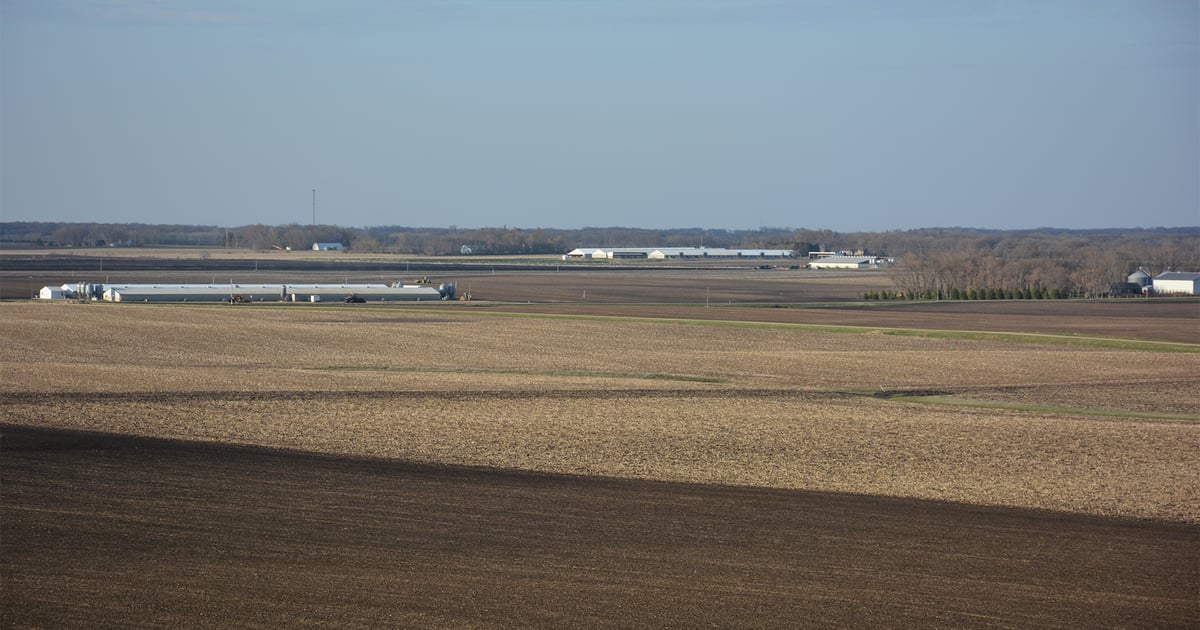 Outlooks vary across ag, but all producers must manage risk