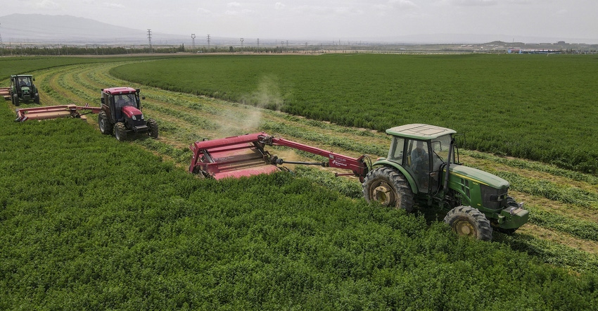farmers are harvesting alfalfa 