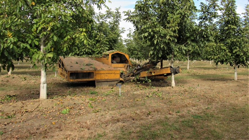 WFP-hearden-roundup-032021-1.JPG WFP-hearden-roundup-032021-1.JPG