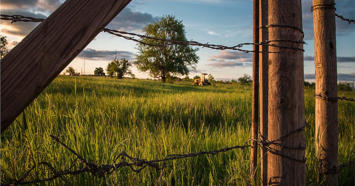 Free report offers tips for avoiding cattle fencing mistakes