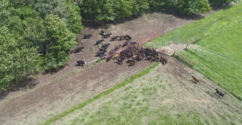 aerial photo of a fenceline weaning system 