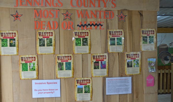 "most wanted" posters for non-native, invasive plant species 