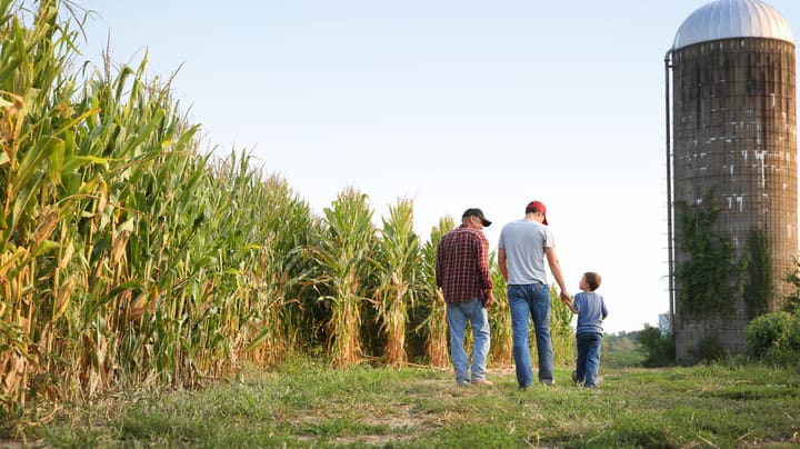 Avoiding succession plans? It’ll cost you