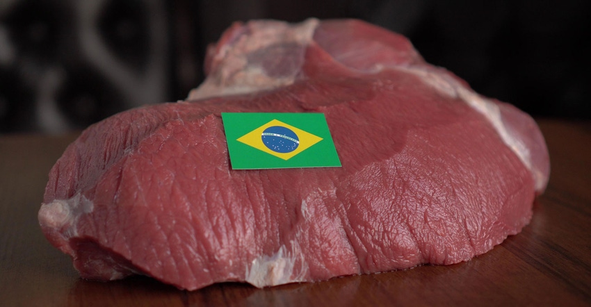 raw meat with Brazilian flag on top