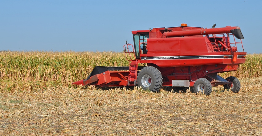 red combine in cornfield