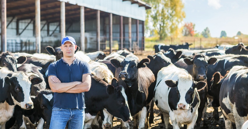 man standing infront of dairy cows