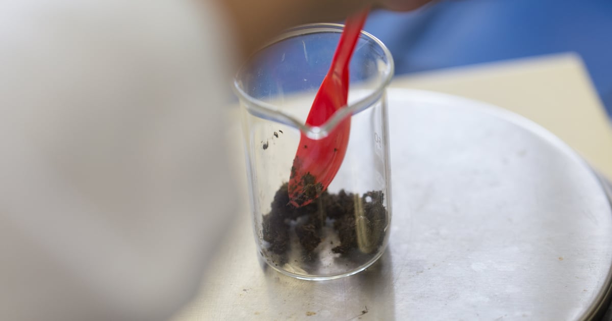 Minnesota oversees only U.S. manure testing lab certification program