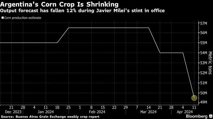 Argentina's corn crop is shrinking